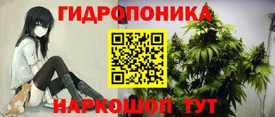PSILOCYBIN Заводоуковск